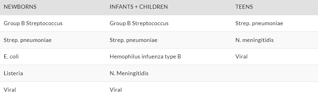 pediatric meningitis