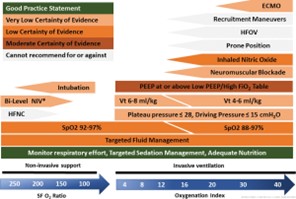 Pediatric Acute Respiratory Distress Syndrome (PARDS)